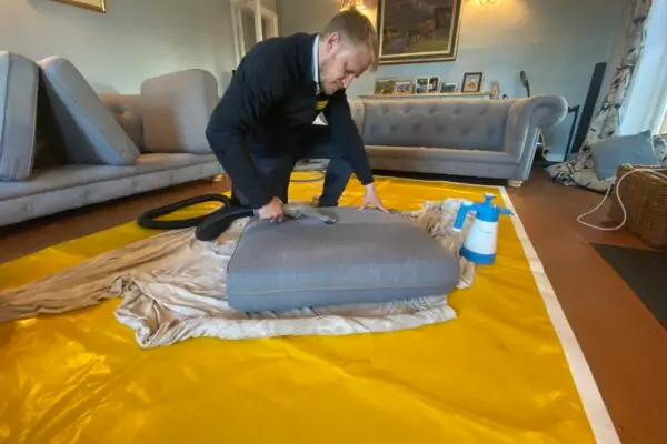 sofa cleaning
