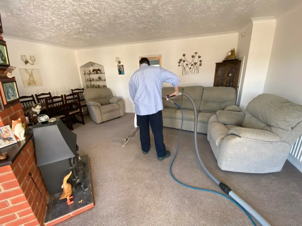 carpet cleaning